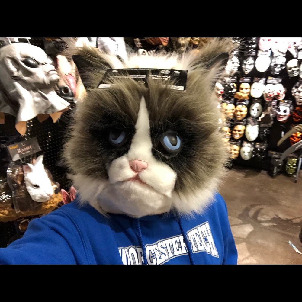 Meet your Posher, Gilmar